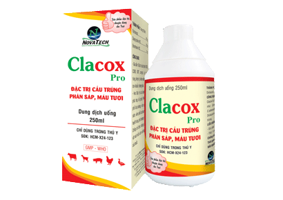 Clacox pro